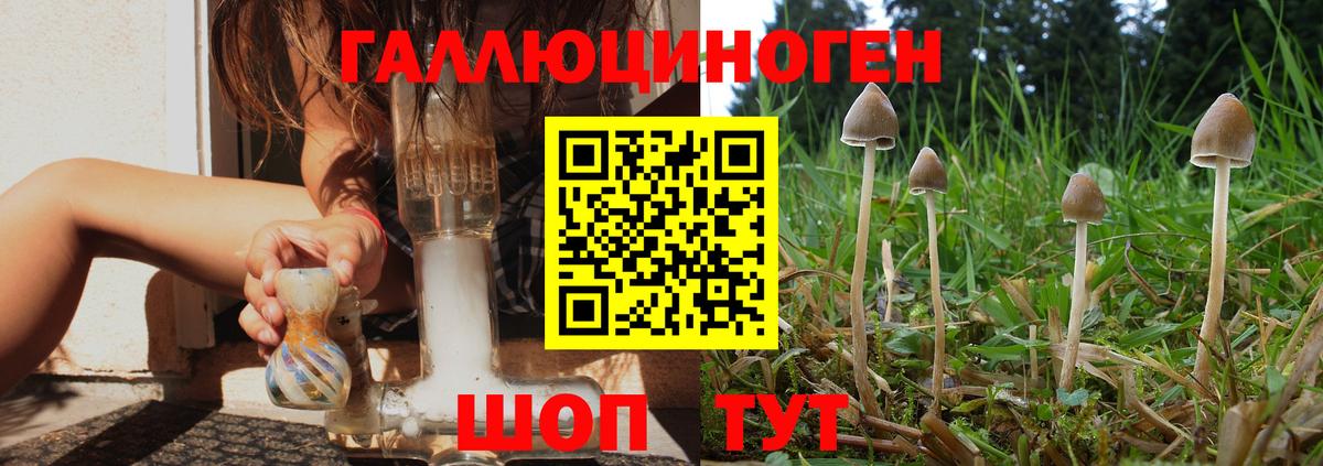 Галлюциногенные грибы мицелий Верхняя Пышма